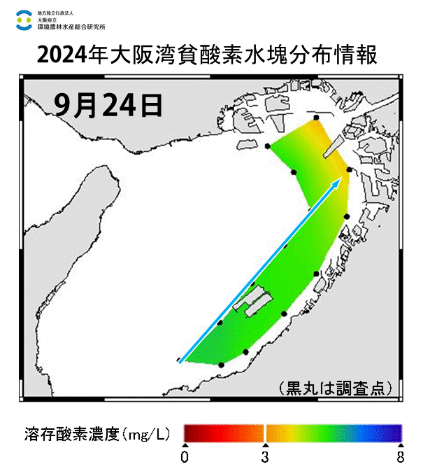 2024年9月24日調査　貧酸素水塊は確認されませんでした。