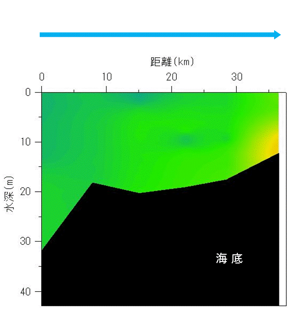 2024年9月24日調査　貧酸素水塊は確認されませんでした。