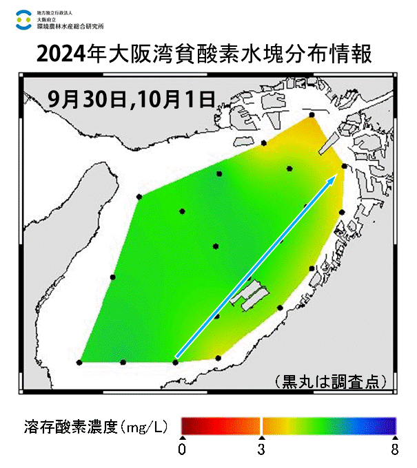 2024年9月30日,10月1日調査　貧酸素水塊は確認されませんでした。