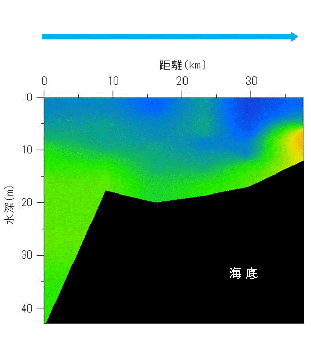 2024年9月30日,10月1日調査　貧酸素水塊は確認されませんでした。