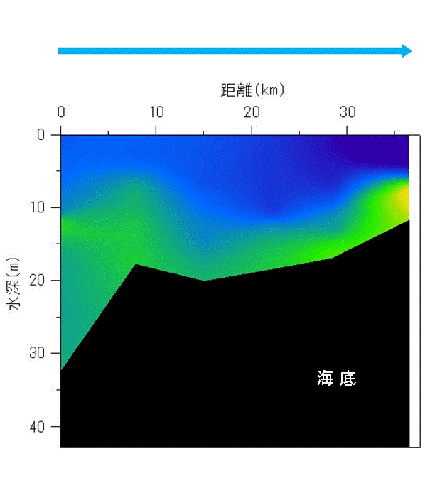 2024年10月15日調査　貧酸素水塊が確認されました。