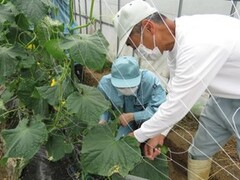 実習の様子
