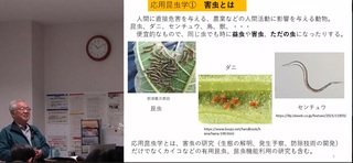 オンデマンドイメージ