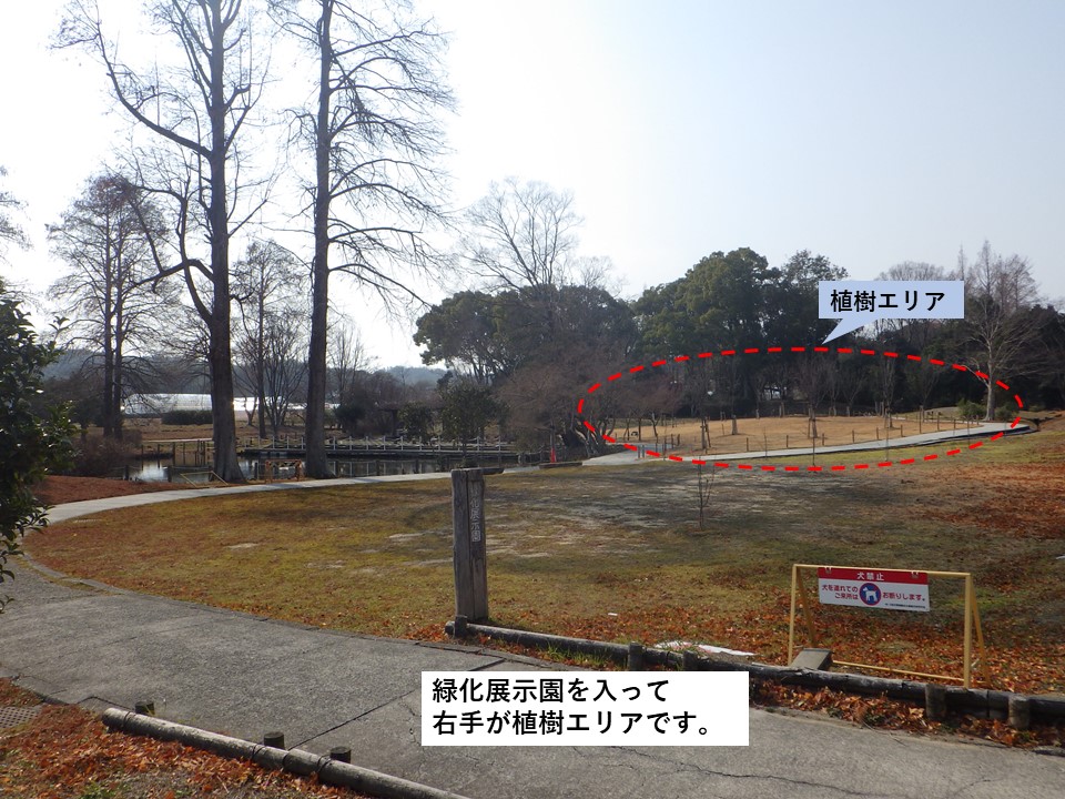 植樹場所２