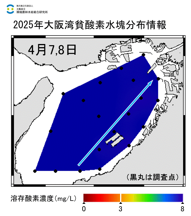 2025年4月7,8日調査　貧酸素水塊は確認されませんでした。