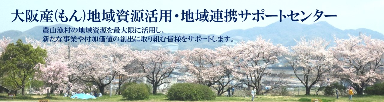 桜の花の写真