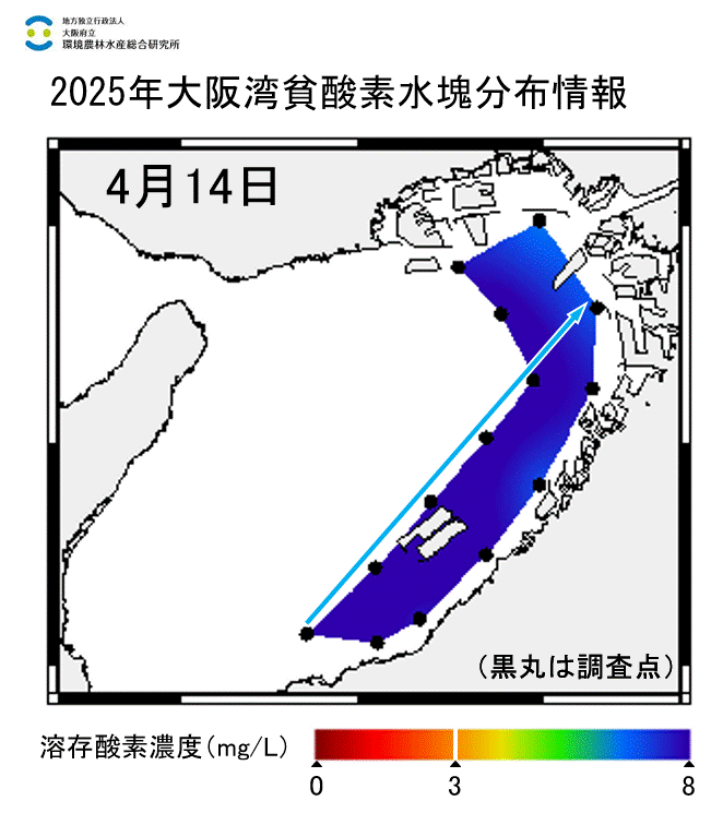 2025年4月14日調査　貧酸素水塊は確認されませんでした。