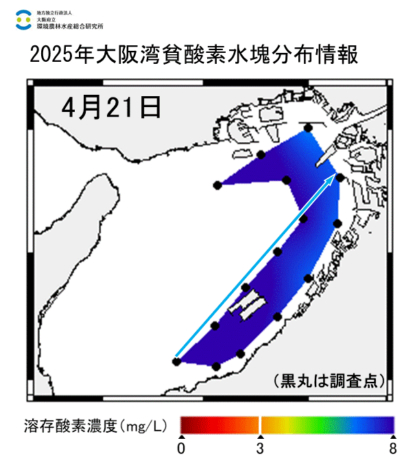 2025年4月21日調査　貧酸素水塊は確認されませんでした。