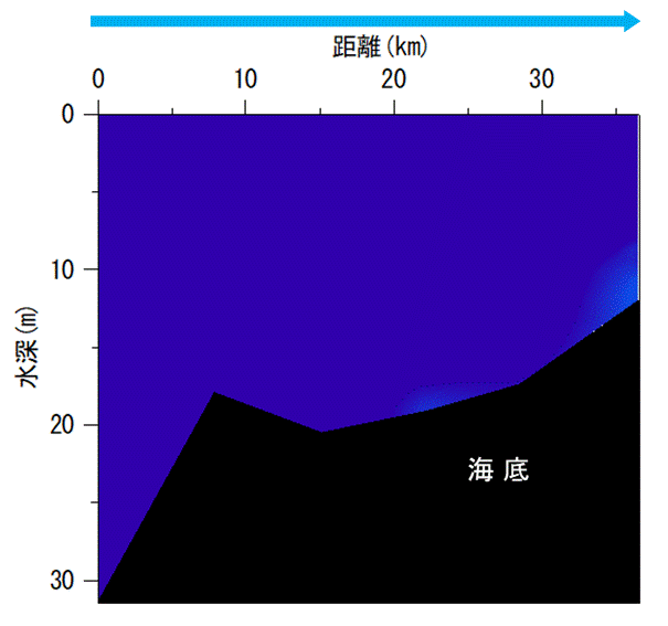 2025年4月21日調査　貧酸素水塊は確認されませんでした。