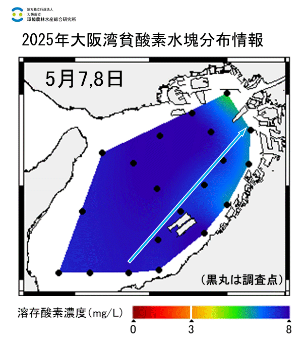 2025年5月7,8日調査　貧酸素水塊は確認されませんでした。