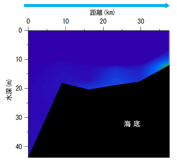 2025年5月7,8日調査　貧酸素水塊は確認されませんでした。