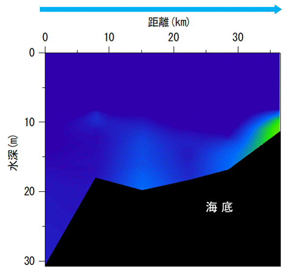 2025年5月12日調査　貧酸素水塊は確認されませんでした。