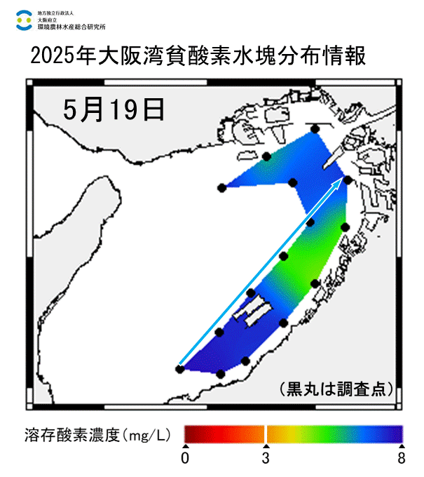 2025年5月19日調査　貧酸素水塊は確認されませんでした。