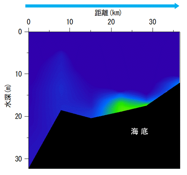 2025年5月19日調査　貧酸素水塊は確認されませんでした。