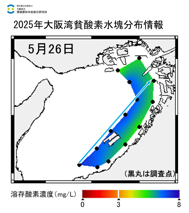 2025年5月26日調査　貧酸素水塊は確認されませんでした。