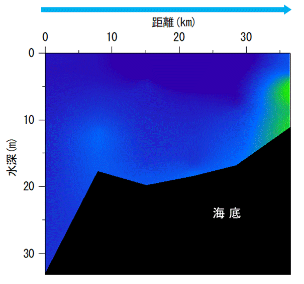 2025年5月26日調査　貧酸素水塊は確認されませんでした。