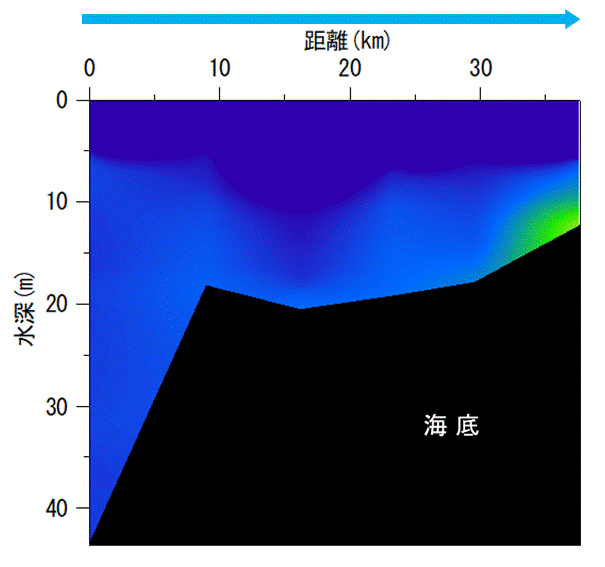 2025年6月2日調査　貧酸素水塊は確認されませんでした。
