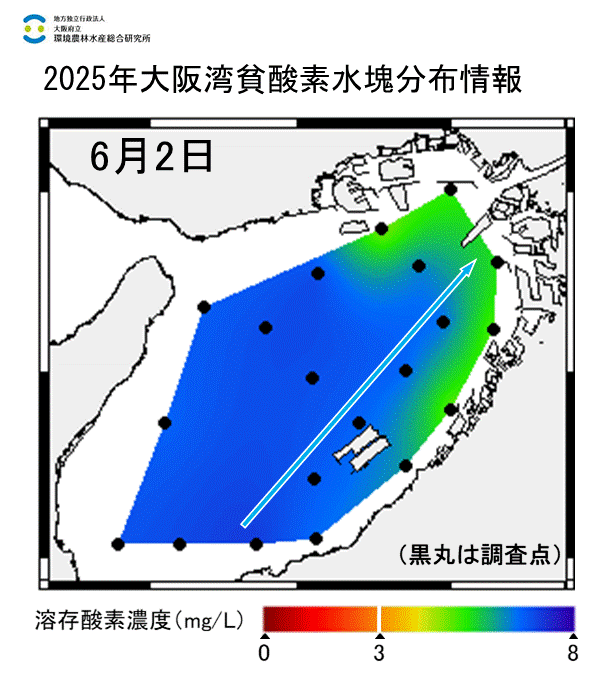 2025年6月2日調査　貧酸素水塊は確認されませんでした。