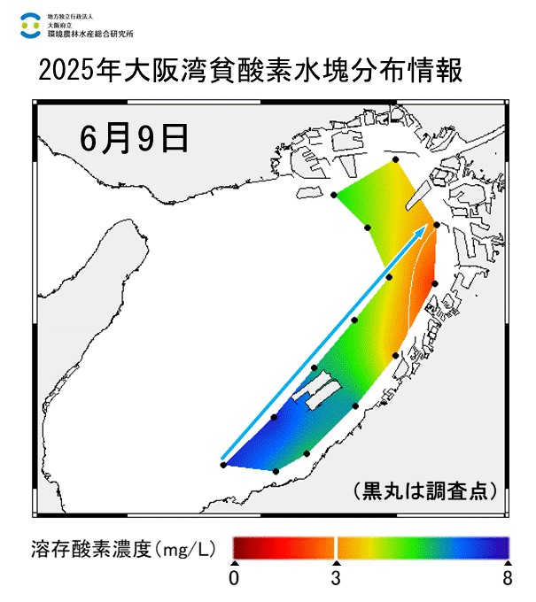 2025年6月9日調査　貧酸素水塊が確認されました。