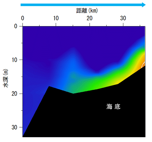 2025年6月9日調査　貧酸素水塊が確認されました。