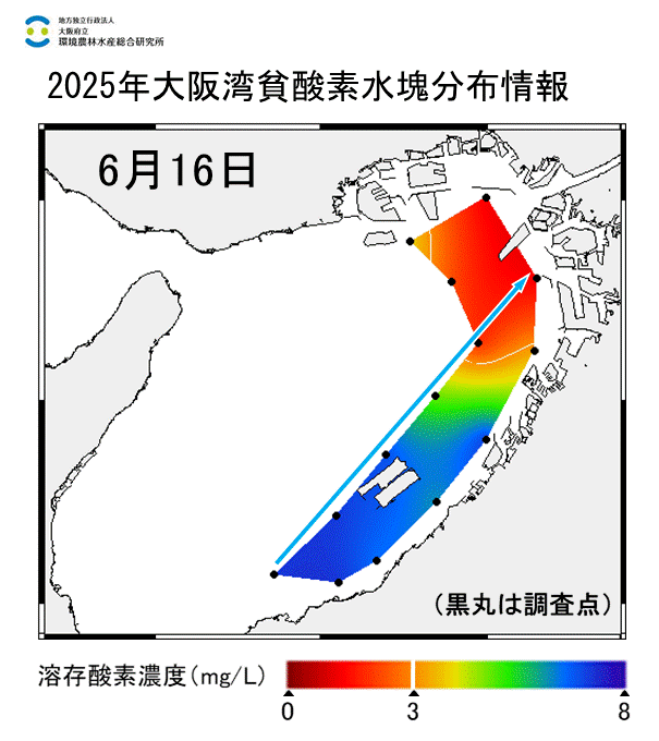 2025年6月16日調査　貧酸素水塊が確認されました。