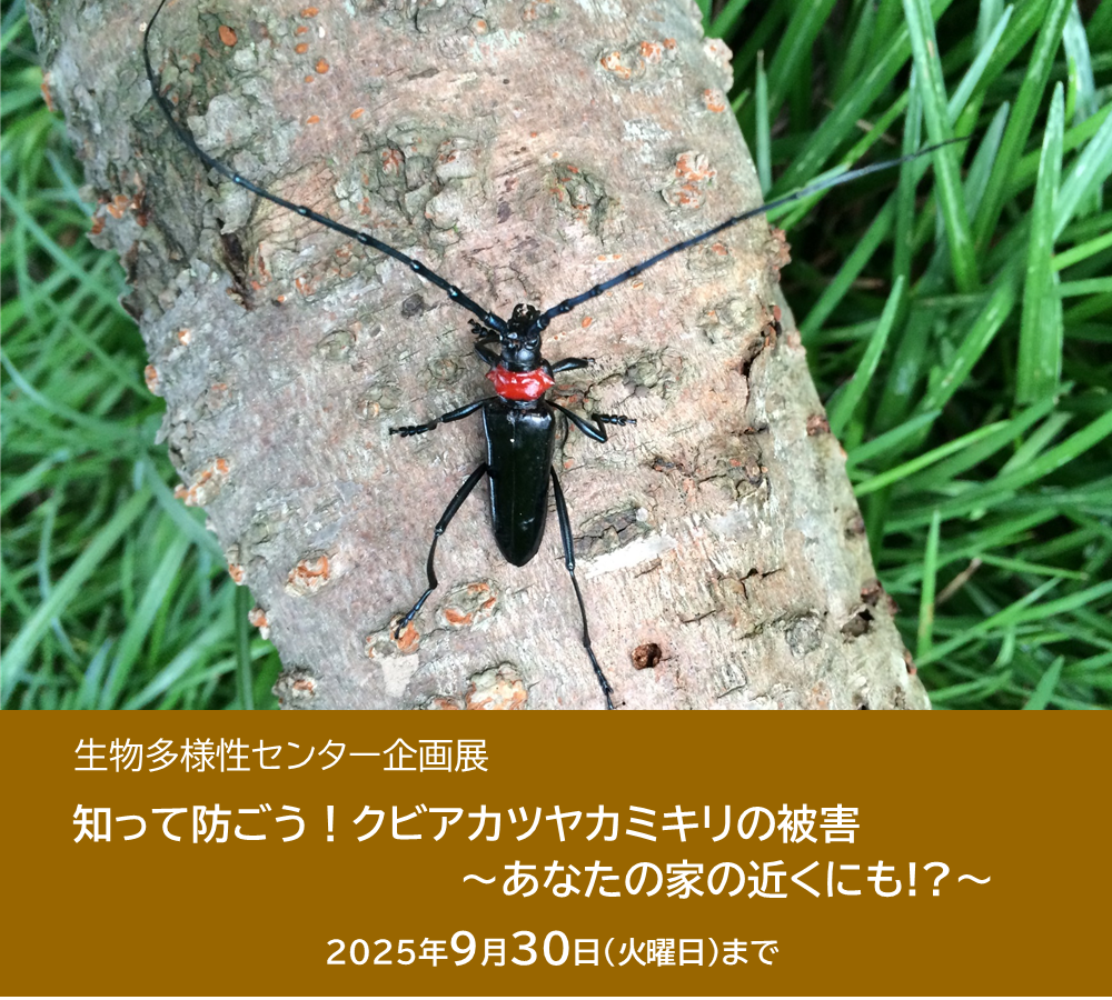 生物多様性センター企画展