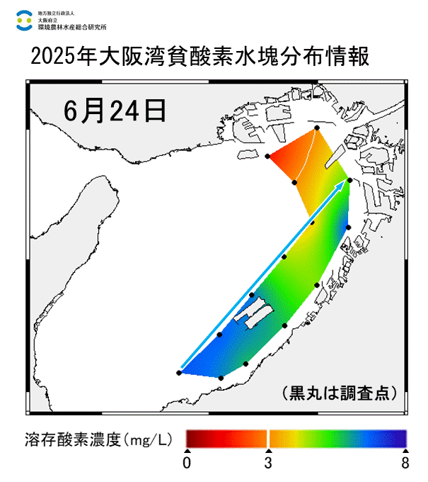 2025年6月24日調査　貧酸素水塊が確認されました。矢印で示したラインでは貧酸素水塊は見られず、前回に比べ底層の酸素濃度は上昇していました。