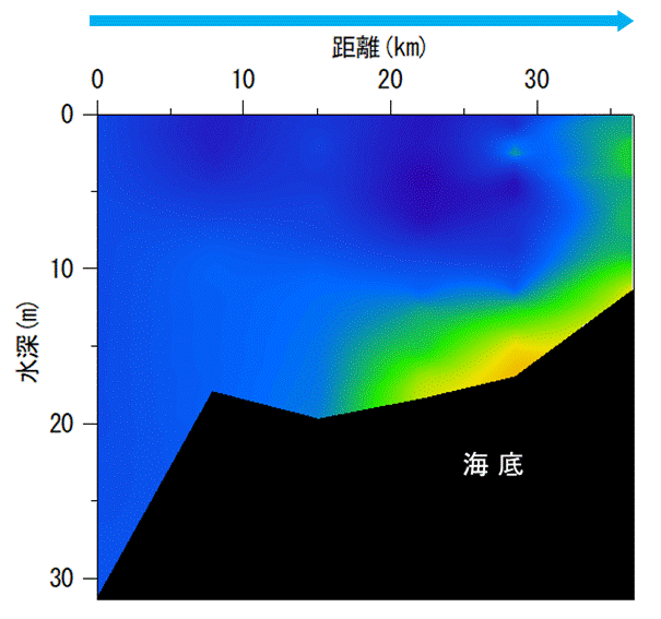 2025年6月24日調査　貧酸素水塊が確認されました。矢印で示したラインでは貧酸素水塊は見られず、前回に比べ底層の酸素濃度は上昇していました。