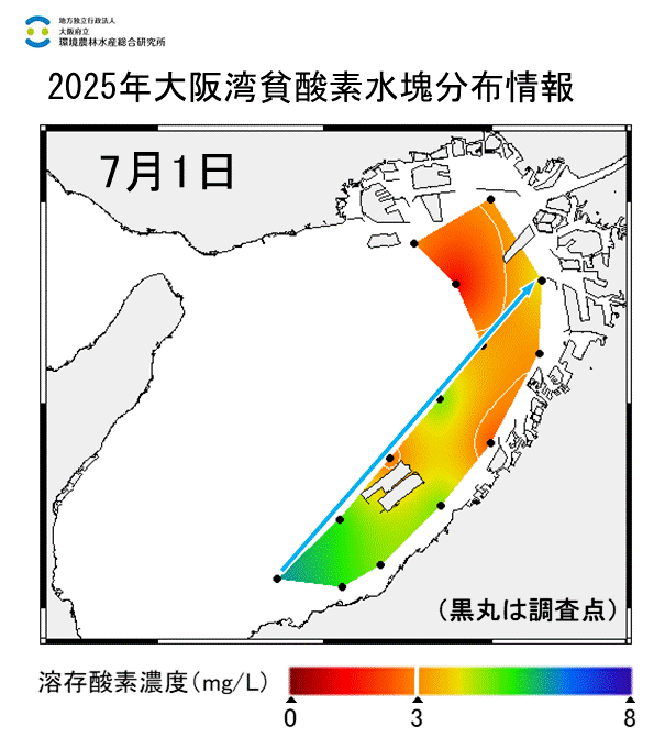 2025年7月1日調査　貧酸素水塊が確認されました。