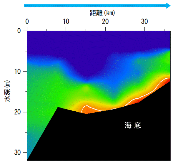 2025年7月1日調査　貧酸素水塊が確認されました。