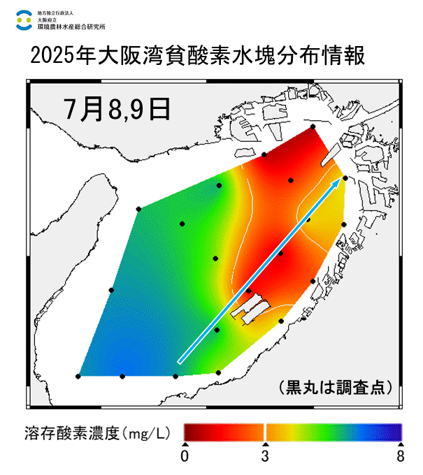 2025年7月8,9日調査　貧酸素水塊が確認されました。