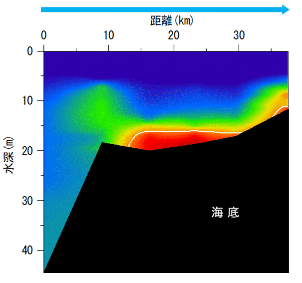 2025年7月8,9日調査　貧酸素水塊が確認されました。