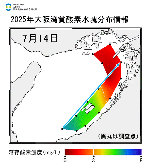 2025年7月14日調査　貧酸素水塊が確認されました。