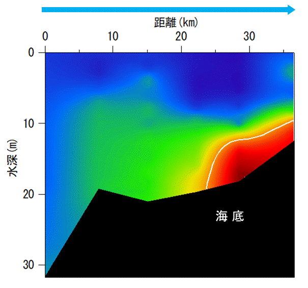 2025年7月14日調査　貧酸素水塊が確認されました。