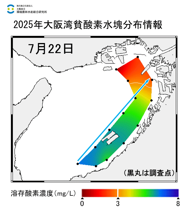 2025年7月22日調査　貧酸素水塊が確認されました。