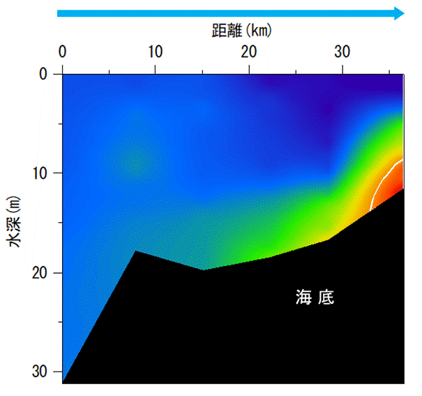 2025年7月22日調査　貧酸素水塊が確認されました。