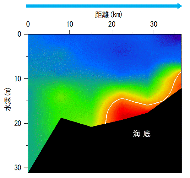 2025年7月28日調査　貧酸素水塊が確認されました。