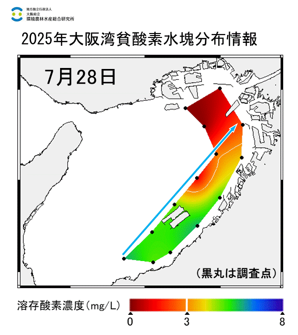2025年7月28日調査　貧酸素水塊が確認されました。
