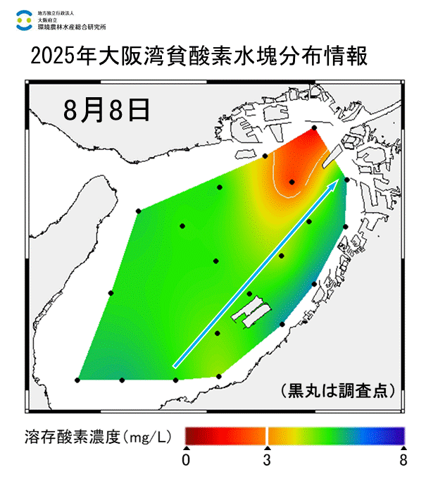 2025年8月8日調査　貧酸素水塊が確認されました。