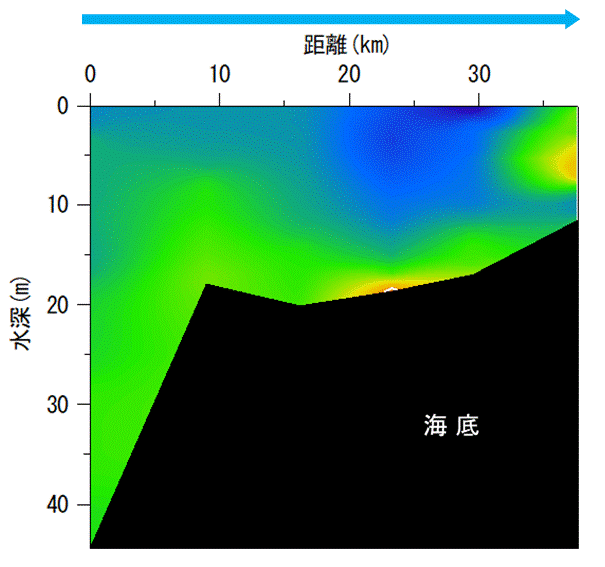 2025年8月8日調査　貧酸素水塊が確認されました。