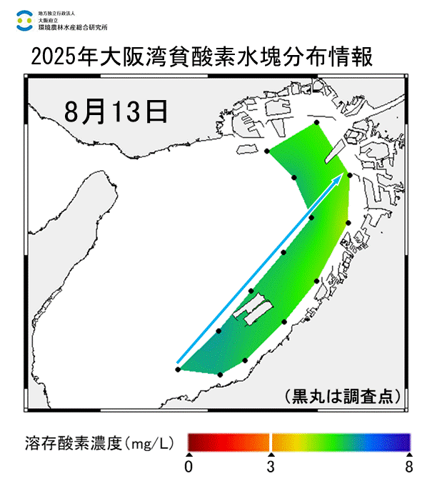2025年8月13日調査　貧酸素水塊は確認されませんでした。