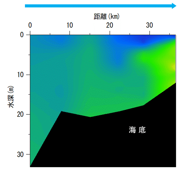 2025年8月13日調査　貧酸素水塊は確認されませんでした。