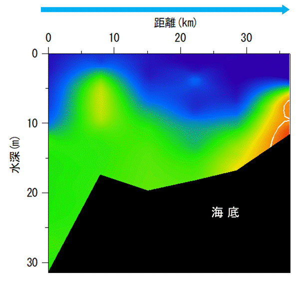 2025年8月18日調査　貧酸素水塊が確認されました。