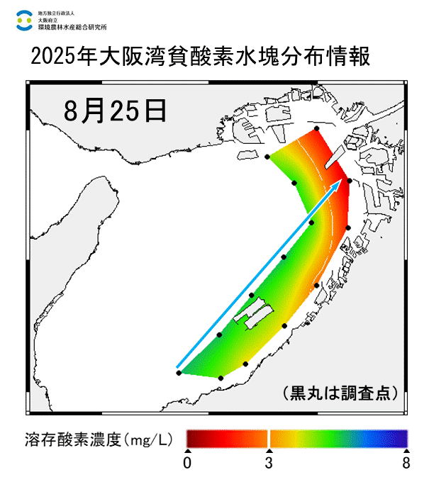 2025年8月25日調査　貧酸素水塊が確認されました。