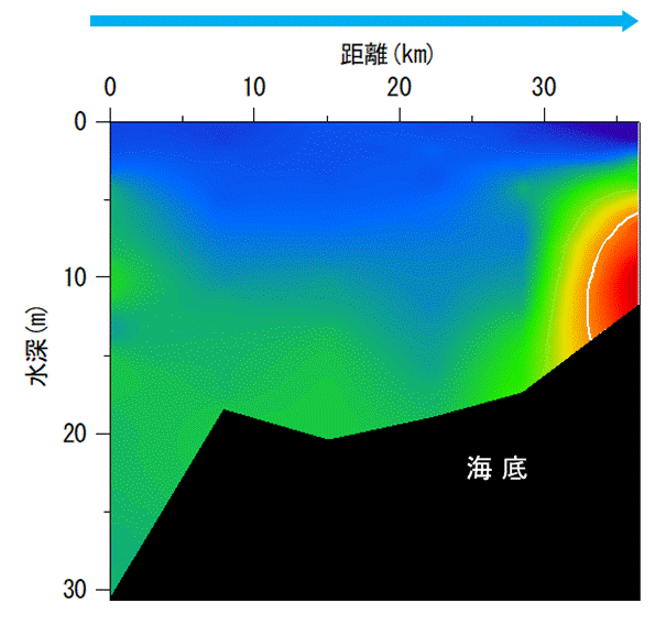 2025年8月25日調査　貧酸素水塊が確認されました。