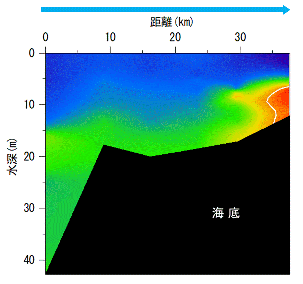 2025年9月1,2日調査　貧酸素水塊が確認されました。
