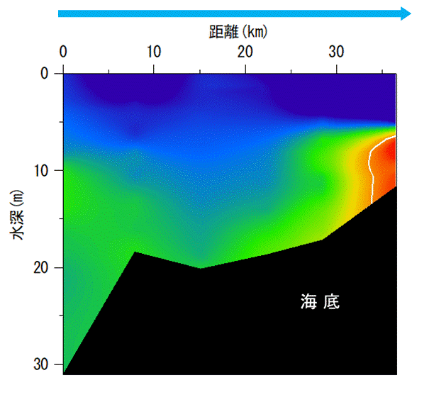 2025年9月8日調査　貧酸素水塊が確認されました。