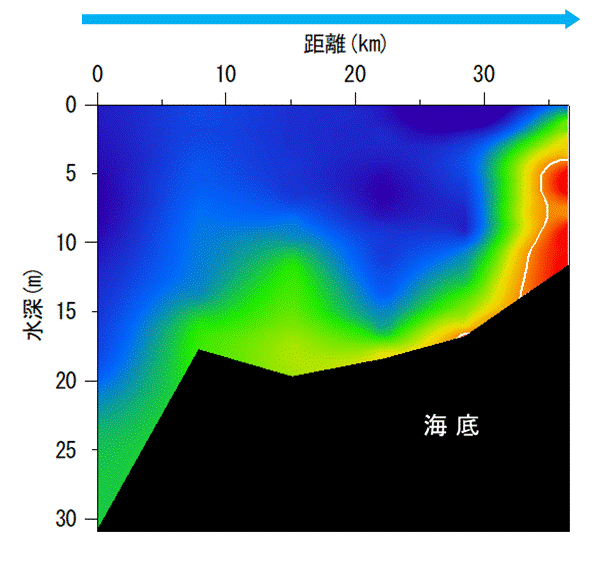 2025年9月16日調査　貧酸素水塊が確認されました。