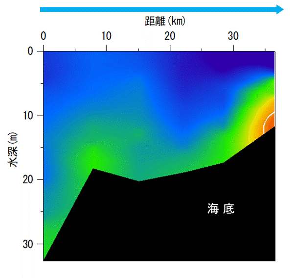 2025年9月22日調査　貧酸素水塊が確認されました。