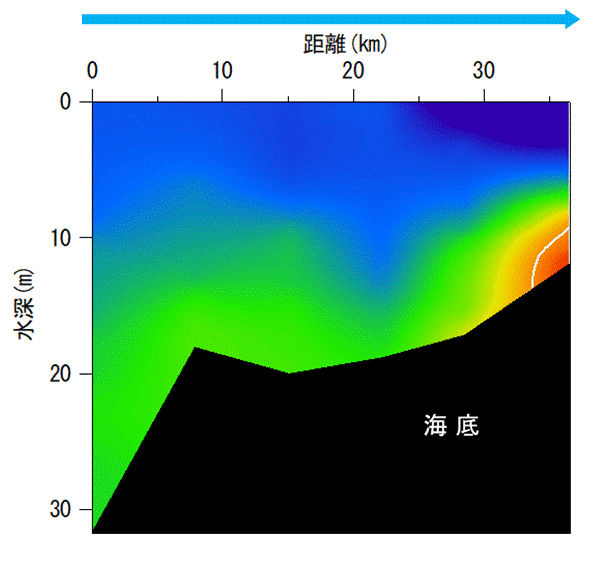 2025年9月30日調査　貧酸素水塊が確認されました。